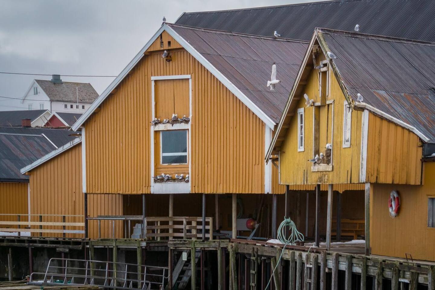 Explorers Cabin Lofoten Edge Sørvågen Exterior foto